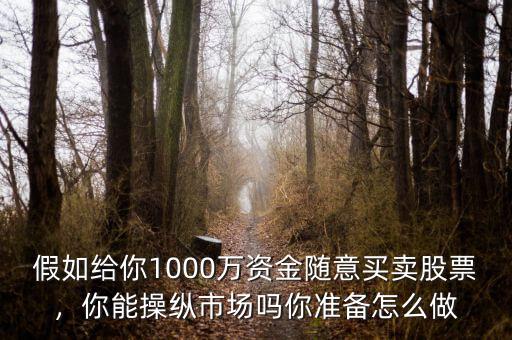假如給你1000萬資金隨意買賣股票，你能操縱市場嗎你準備怎么做
