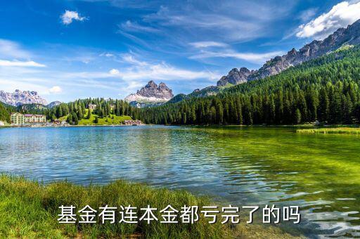 基金本金虧完了怎么辦,基金已虧到本金了。該怎么辦