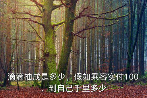 滴滴抽成是多少，假如乘客實(shí)付100，到自己手里多少