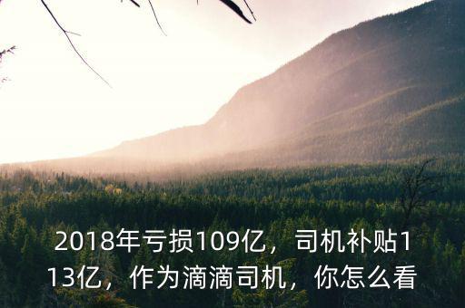 2018年虧損109億，司機(jī)補(bǔ)貼113億，作為滴滴司機(jī)，你怎么看