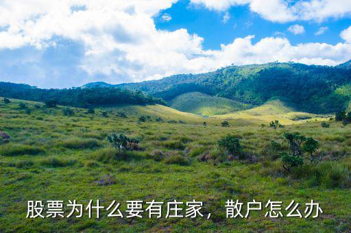 股票為什么要有莊家，散戶怎么辦