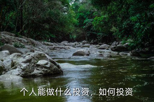 個(gè)人能做什么投資，如何投資
