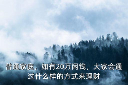普通家庭，如有20萬閑錢，大家會通過什么樣的方式來理財