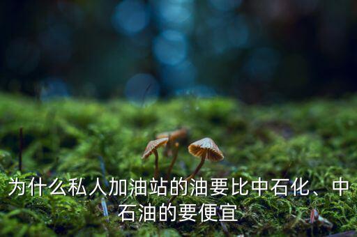為什么私人加油站的油要比中石化、中石油的要便宜