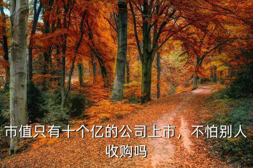 市值只有十個億的公司上市，不怕別人收購嗎