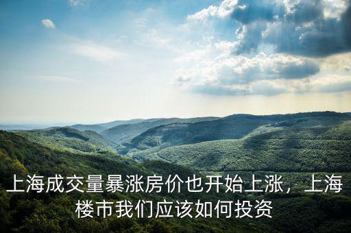 上海成交量暴漲房?jī)r(jià)也開始上漲，上海樓市我們應(yīng)該如何投資
