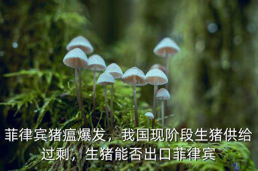 菲律賓豬瘟爆發(fā)，我國(guó)現(xiàn)階段生豬供給過(guò)剩，生豬能否出口菲律賓