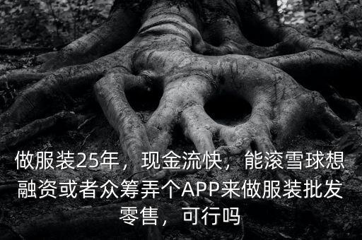 做服裝25年，現(xiàn)金流快，能滾雪球想融資或者眾籌弄個APP來做服裝批發(fā)零售，可行嗎