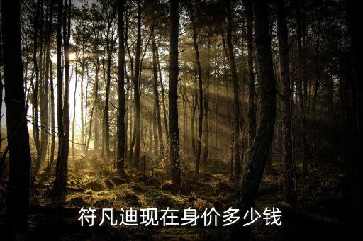 鄧冠華身價多少,陳夢現在身價多少