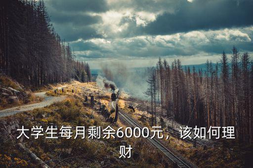 大學(xué)生每月剩余6000元，該如何理財(cái)