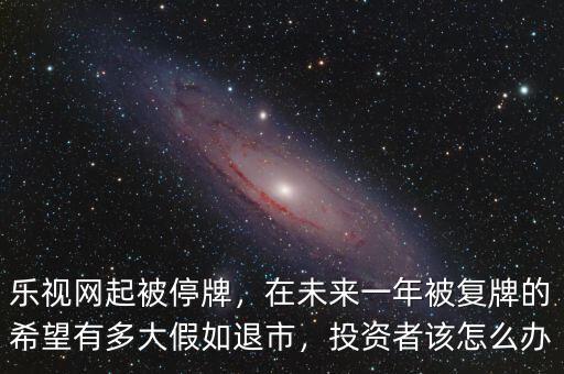 樂視網(wǎng)起被停牌，在未來一年被復(fù)牌的希望有多大假如退市，投資者該怎么辦