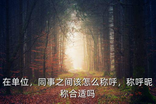在單位，同事之間該怎么稱呼，稱呼昵稱合適嗎