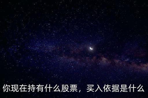 你現(xiàn)在持有什么股票，買入依據(jù)是什么