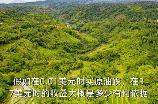 假如在0.01美元時(shí)買原油跌，在37美元時(shí)的收益大概是多少有何依據(jù)