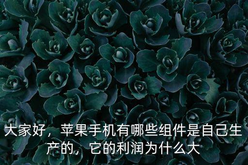 大家好，蘋果手機有哪些組件是自己生產的，它的利潤為什么大