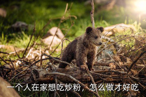 一個(gè)人在家想吃炒粉，怎么做才好吃