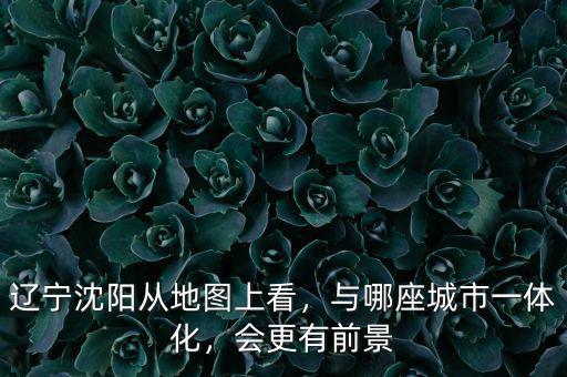遼寧沈陽從地圖上看，與哪座城市一體化，會更有前景