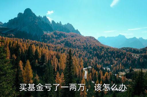 買基金虧了一兩萬，該怎么辦