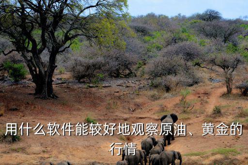 用什么軟件能較好地觀察原油、黃金的行情