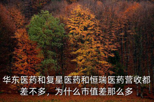 華東醫(yī)藥和復星醫(yī)藥和恒瑞醫(yī)藥營收都差不多，為什么市值差那么多