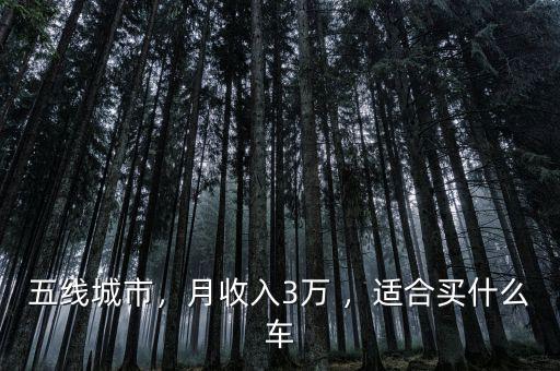 五線城市，月收入3萬 ，適合買什么車
