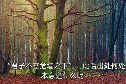 “君子不立危墻之下”，此話出處何處本意是什么呢