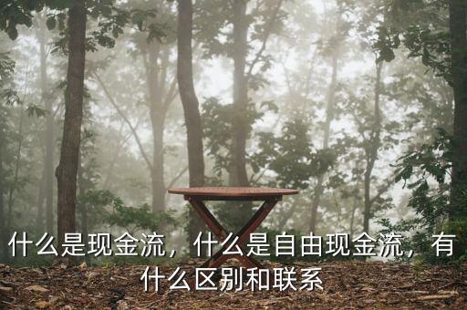 什么是現(xiàn)金流，什么是自由現(xiàn)金流，有什么區(qū)別和聯(lián)系