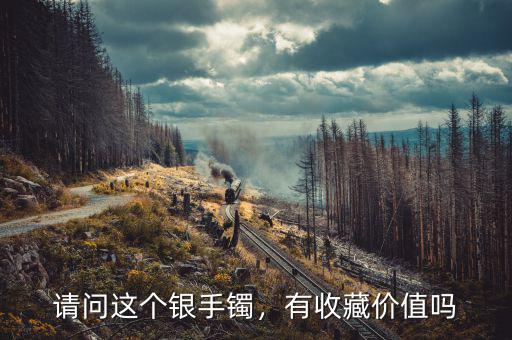 請(qǐng)問這個(gè)銀手鐲，有收藏價(jià)值嗎