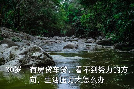 30歲，有房貸車貸，看不到努力的方向，生活壓力大怎么辦