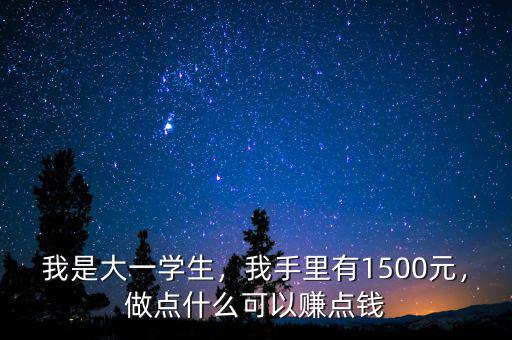 我是大一學生，我手里有1500元，做點什么可以賺點錢