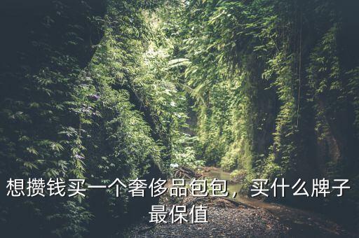 想攢錢買一個奢侈品包包，買什么牌子最保值