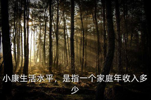 小康生活水平，是指一個(gè)家庭年收入多少