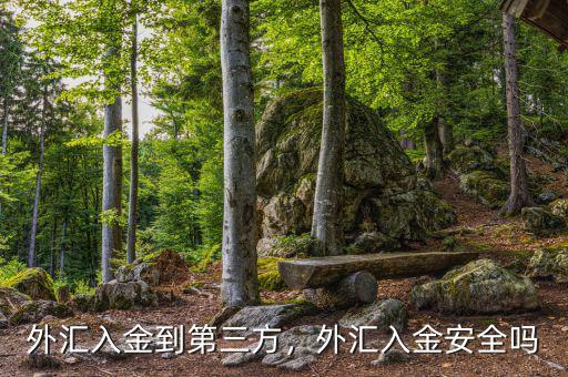外匯入金到第三方，外匯入金安全嗎