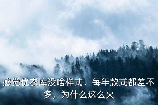 感覺(jué)優(yōu)衣庫(kù)沒(méi)啥樣式，每年款式都差不多，為什么這么火