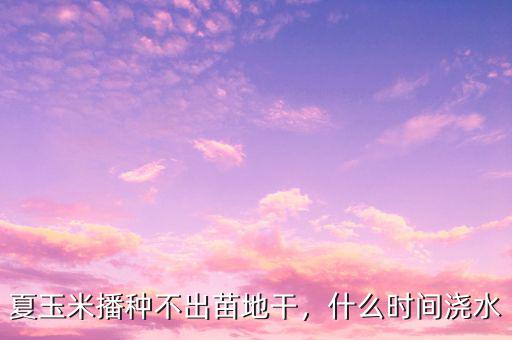 夏玉米播種不出苗地干，什么時(shí)間澆水
