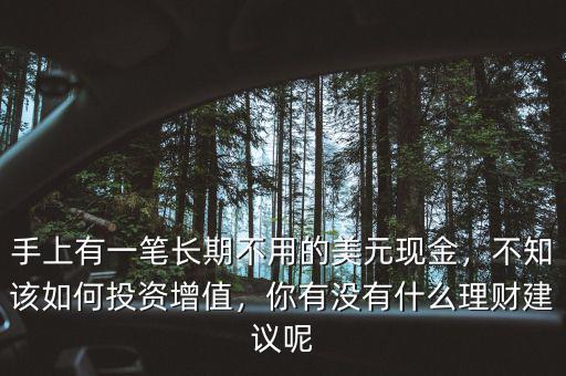手上有一筆長期不用的美元現(xiàn)金，不知該如何投資增值，你有沒有什么理財建議呢
