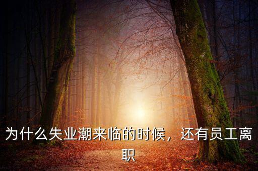 為什么失業(yè)潮來(lái)臨的時(shí)候，還有員工離職