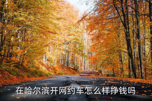 哈爾濱專(zhuān)車(chē)收益怎么樣,滴滴專(zhuān)車(chē)收入怎么樣2019
