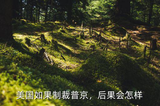 美國如果制裁普京，后果會怎樣