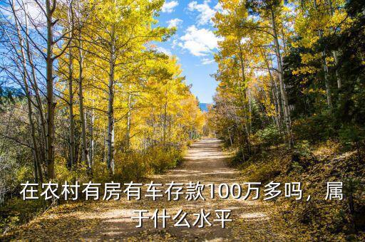 在農(nóng)村有房有車存款100萬多嗎，屬于什么水平
