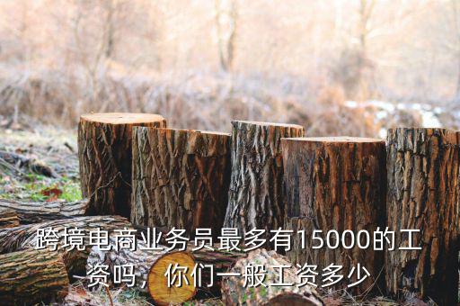 跨境電商業(yè)務(wù)員最多有15000的工資嗎，你們一般工資多少