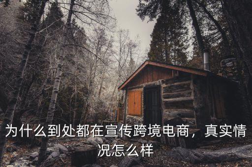 為什么到處都在宣傳跨境電商，真實(shí)情況怎么樣