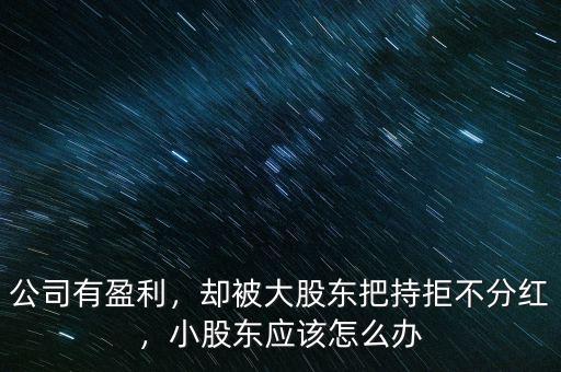公司有盈利，卻被大股東把持拒不分紅，小股東應該怎么辦