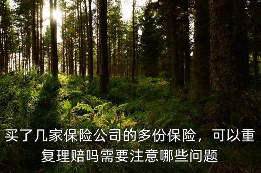 買了幾家保險(xiǎn)公司的多份保險(xiǎn)，可以重復(fù)理賠嗎需要注意哪些問題