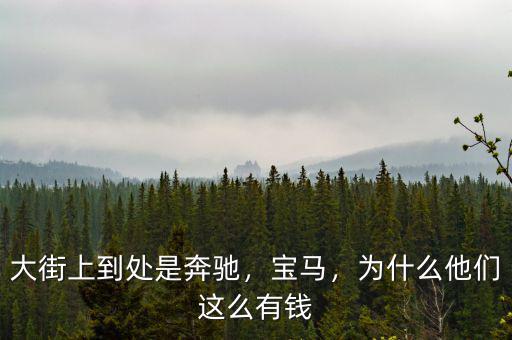 大街上到處是奔馳，寶馬，為什么他們這么有錢