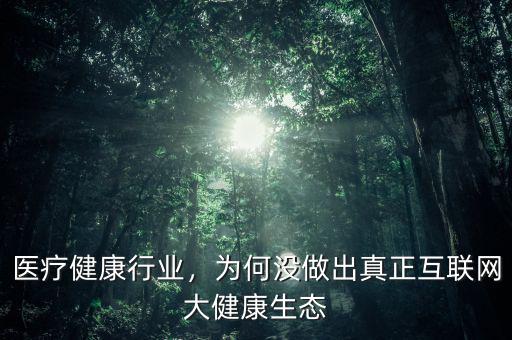 醫(yī)療健康行業(yè)，為何沒做出真正互聯(lián)網大健康生態(tài)