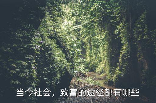 當(dāng)今社會(huì)，致富的途徑都有哪些