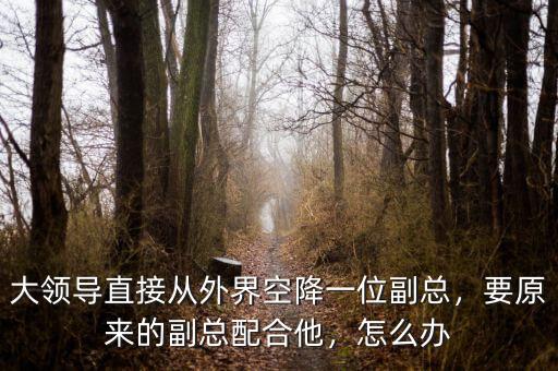 大領(lǐng)導(dǎo)直接從外界空降一位副總，要原來的副總配合他，怎么辦