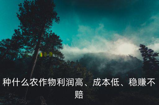種什么農(nóng)作物利潤高、成本低、穩(wěn)賺不賠