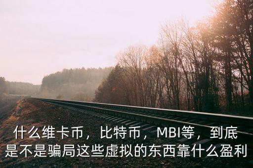 什么維卡幣，比特幣，MBI等，到底是不是騙局這些虛擬的東西靠什么盈利